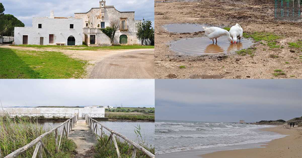 Dolmen, masserie, torrenti e spiagge: a fianco alla statale c'� il Parco dune costiere